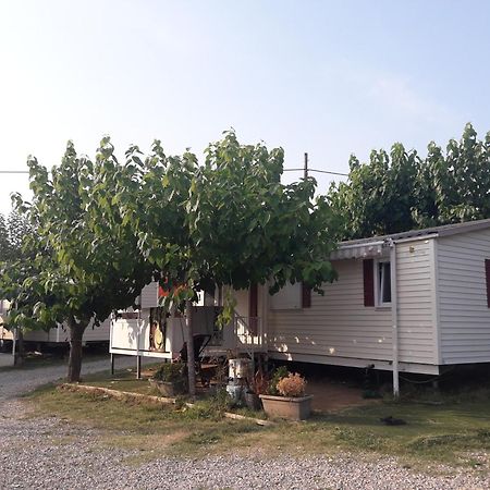Camping Vila Village Sant Feliu de Buixalleu Экстерьер фото